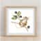 Bothy Threads Brambles Counted Cross Stitch Kit